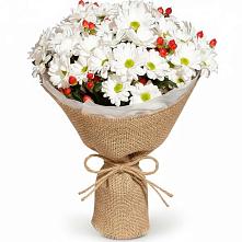 Букет цветов из:  Хризантемы #REPLACE_PRED# Важины